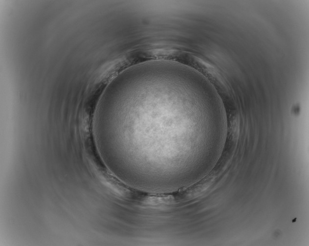 X0000092000571200709061442