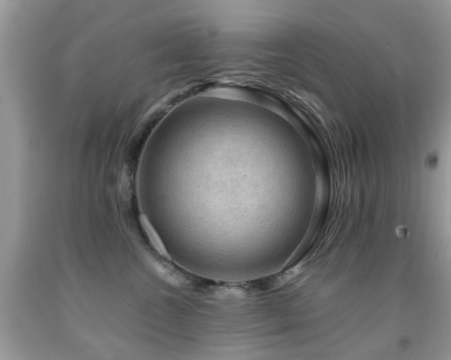 X0000092000572200709061442