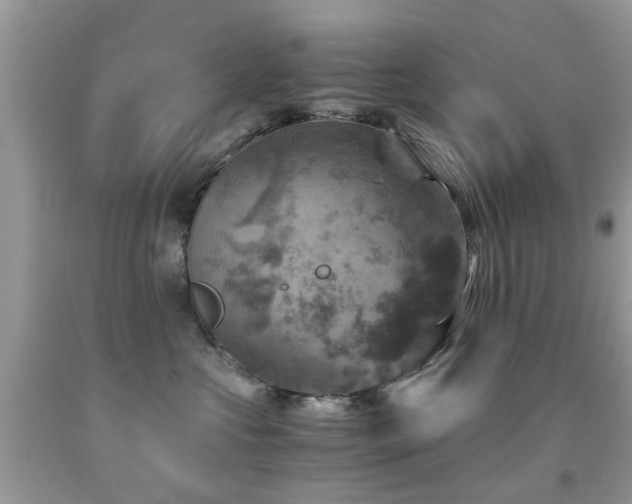 X0000092000573200709061442