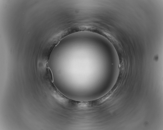 X0000092000574200709061442