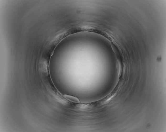 X0000092000575200709061442