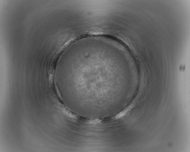 X0000092000576200709061442