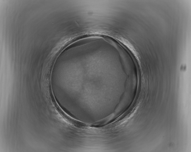 X0000092000577200709061441