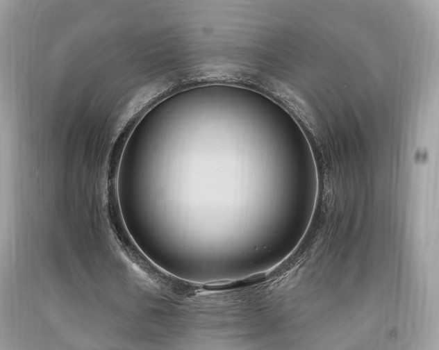 X0000092000578200709061441