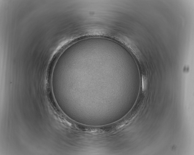 X0000092000579200709061441