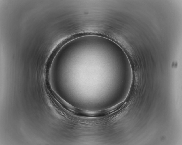 X0000092000580200709061441