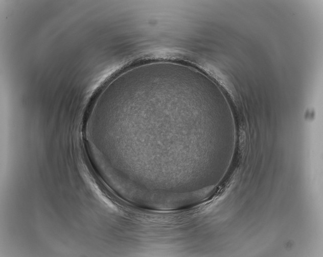 X0000092000581200709061441