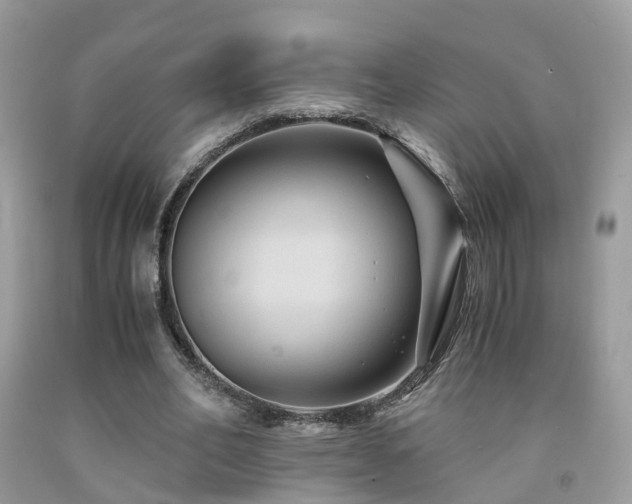 X0000092000582200709061441