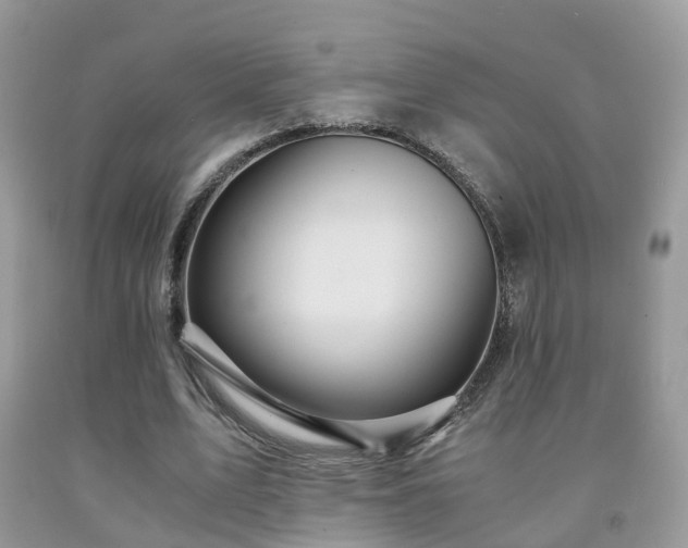 X0000092000583200709061441