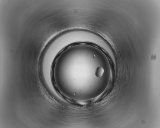 X0000092000584200709061441