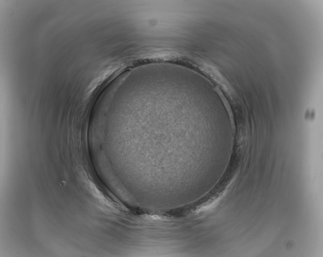 X0000092000585200709061441