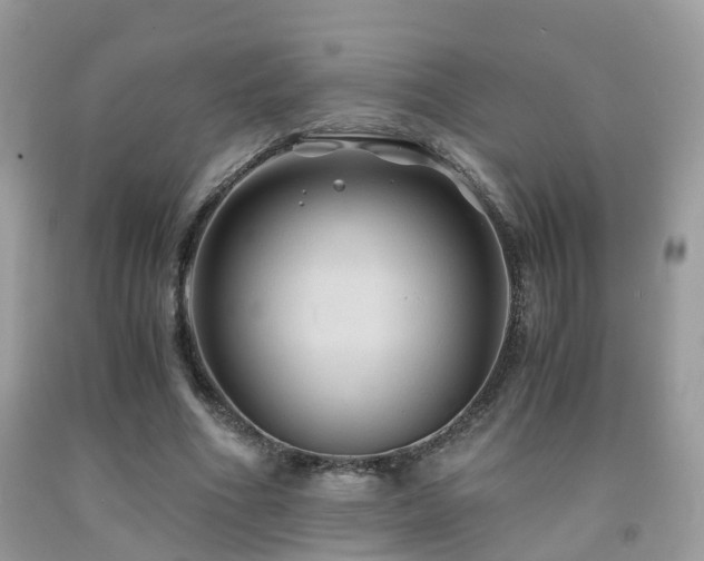 X0000092000586200709061441