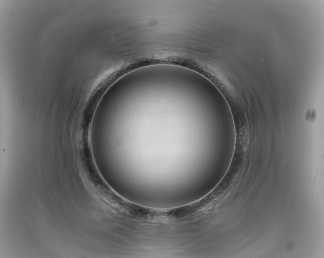 X0000092000587200709061441