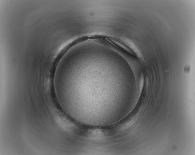 X0000092000588200709061441