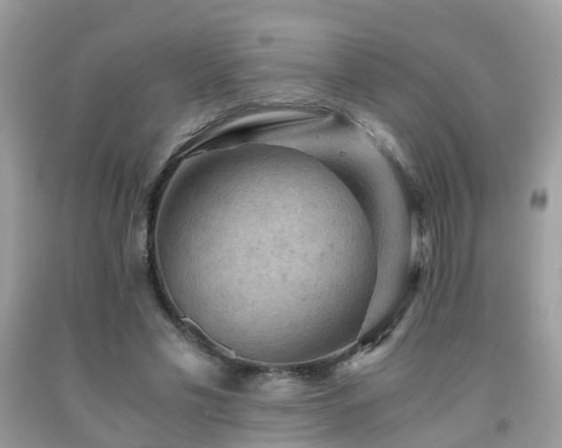 X0000092000589200709061441