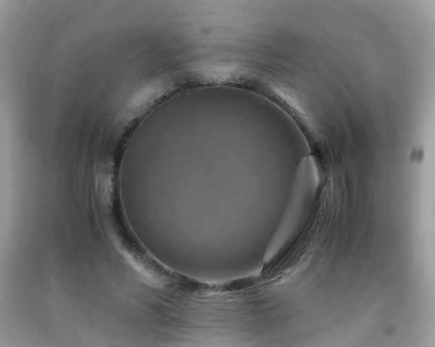 X0000092000590200709061441