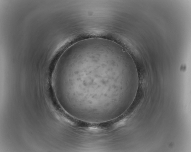 X0000092000591200709061441