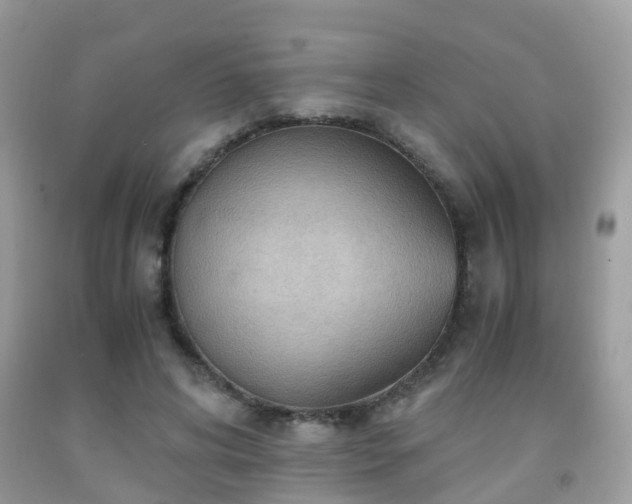 X0000092000592200709061441