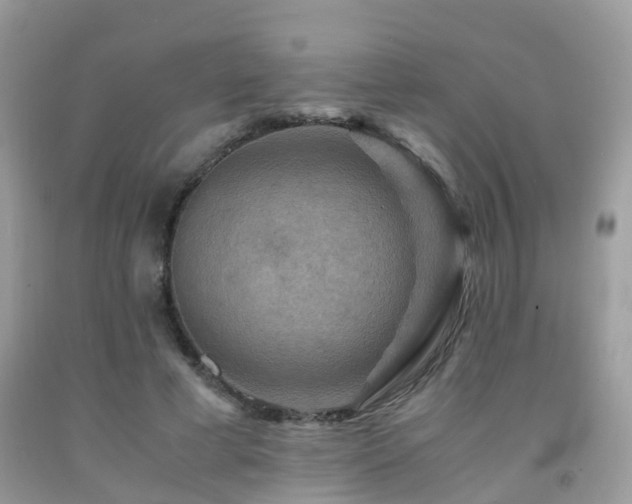 X0000092000593200709061441