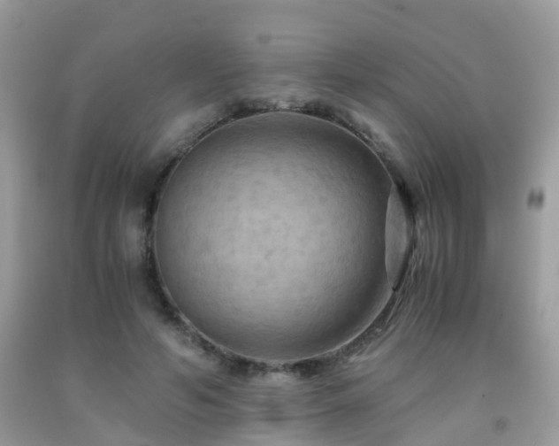 X0000092000594200709061441