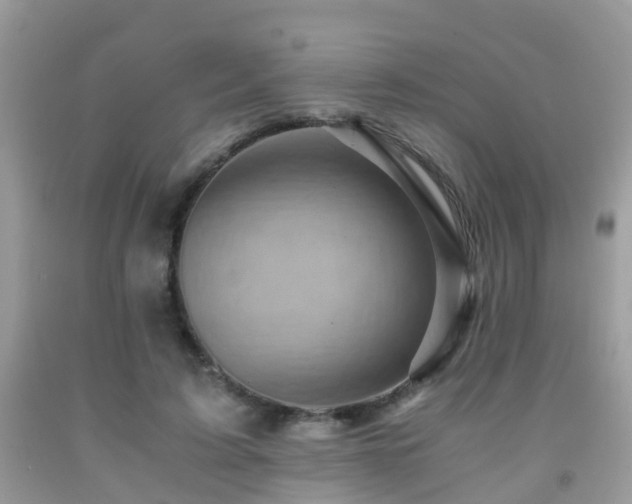 X0000092000595200709061441