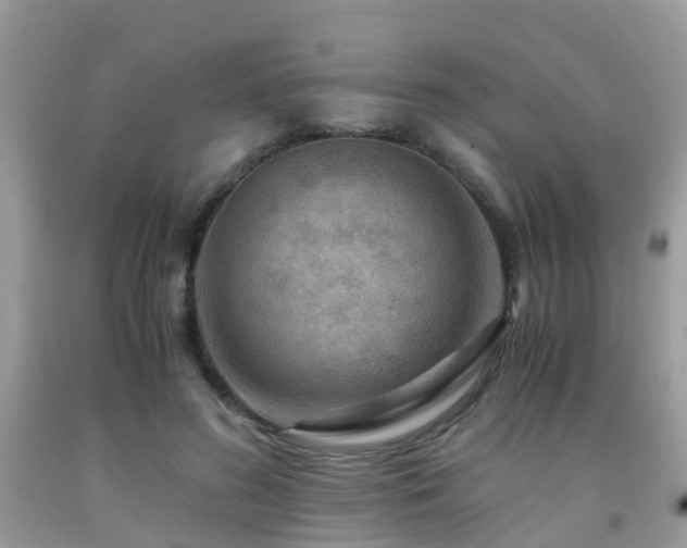 X0000092000596200709061441