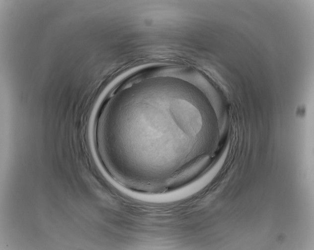 X0000092000597200709061441