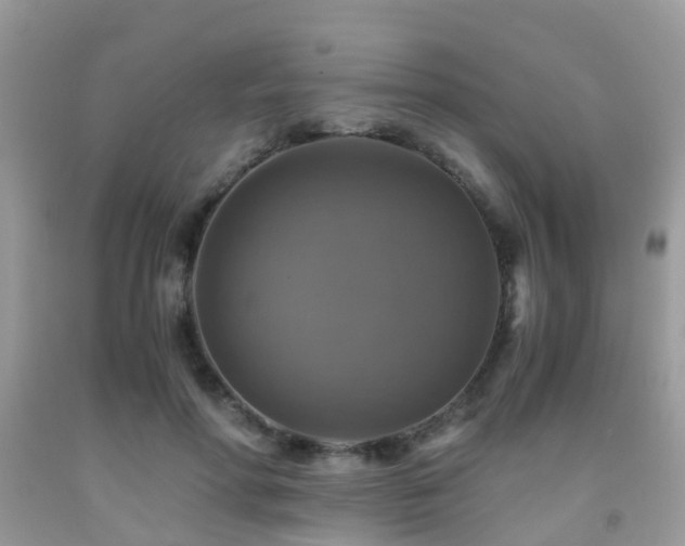 X0000092000598200709061441