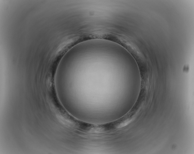 X0000092000599200709061441