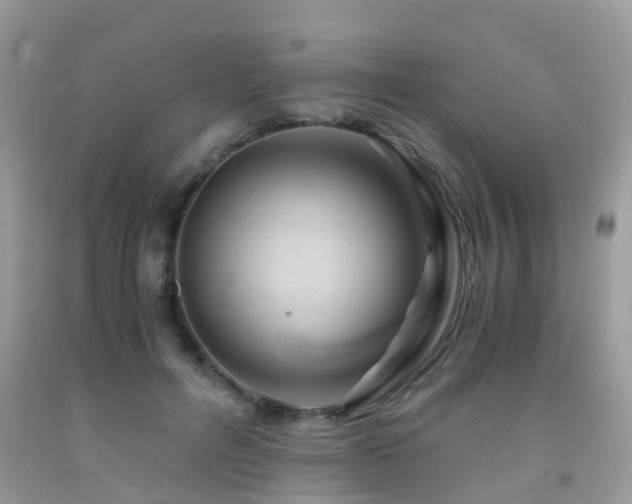 X0000092000600200709061441