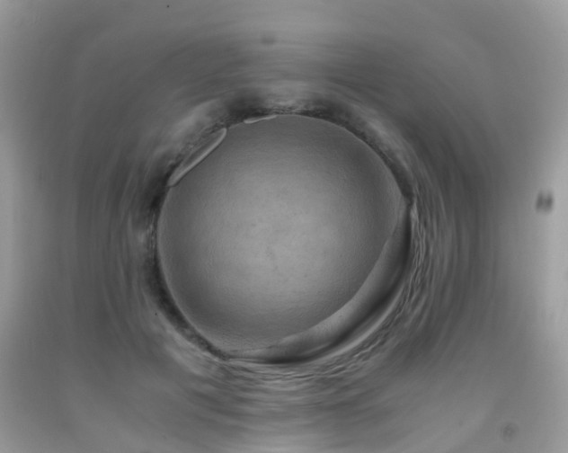 X0000092000601200709061441