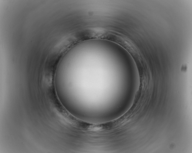 X0000092000602200709061440