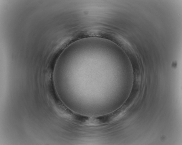 X0000092000603200709061440