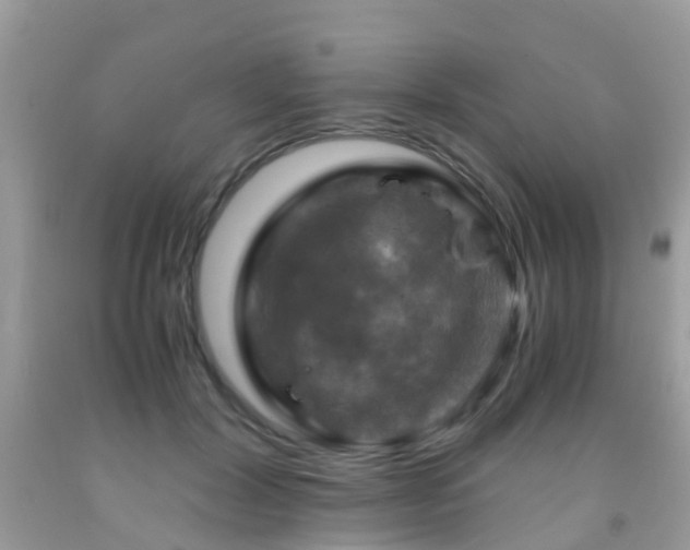 X0000092000604200709061440