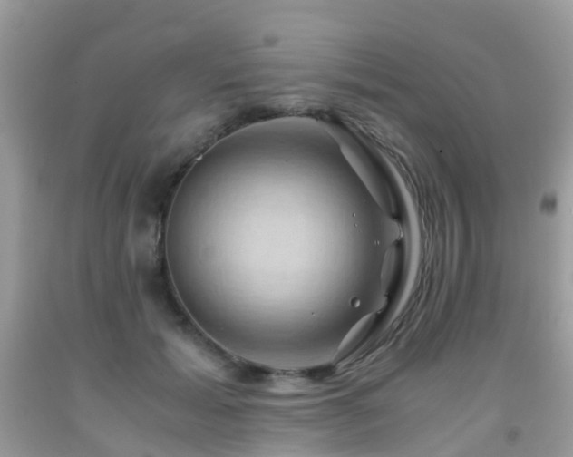 X0000092000605200709061440