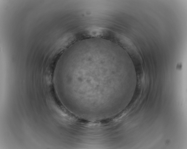 X0000092000606200709061440