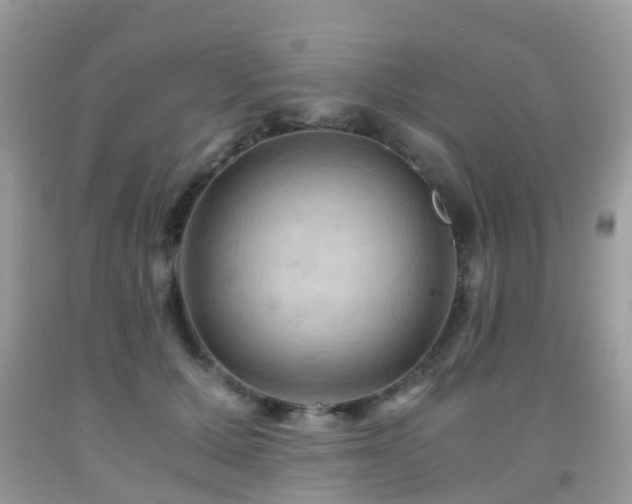 X0000092000607200709061440