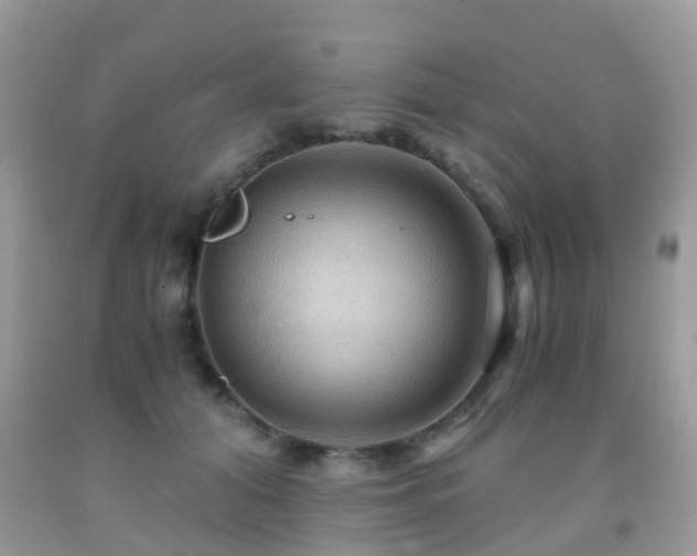 X0000092000608200709061440