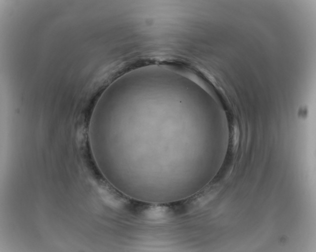 X0000092000609200709061440