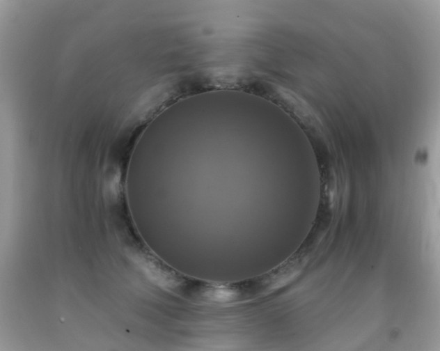 X0000092000610200709061440