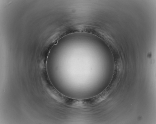 X0000092000611200709061440