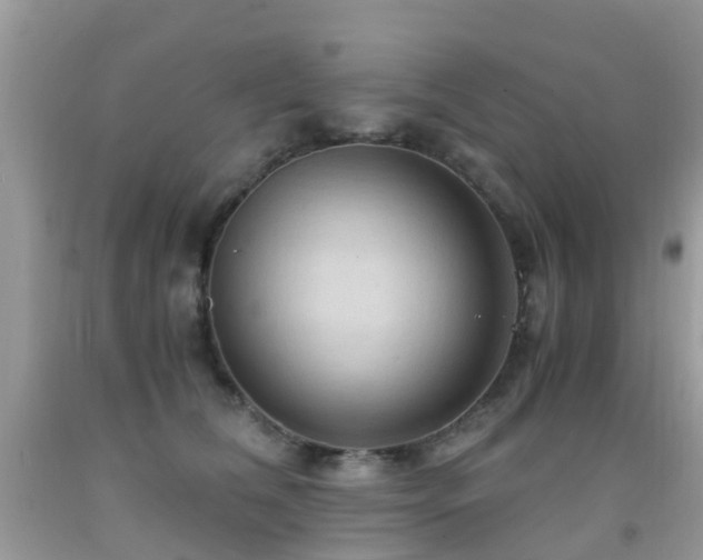 X0000092000612200709061440