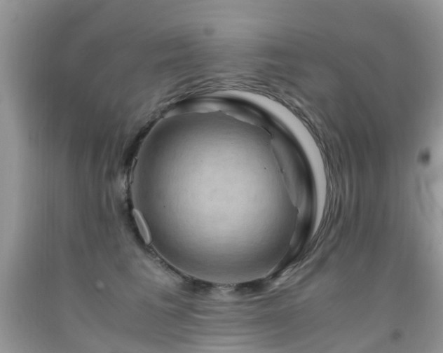 X0000092000613200709061440