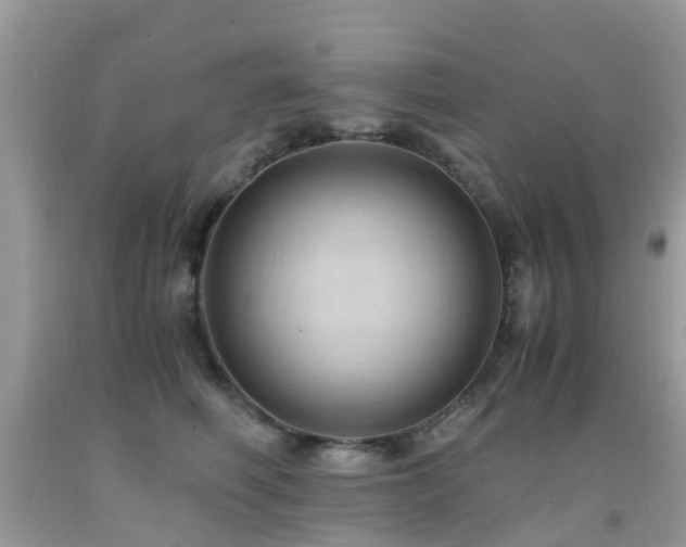 X0000092000614200709061440