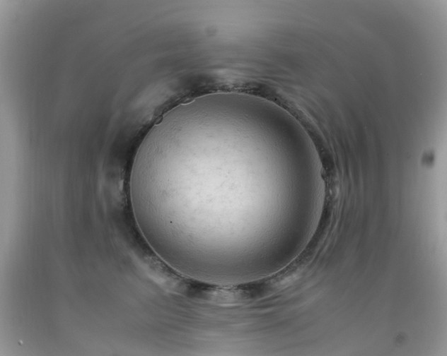 X0000092000615200709061440