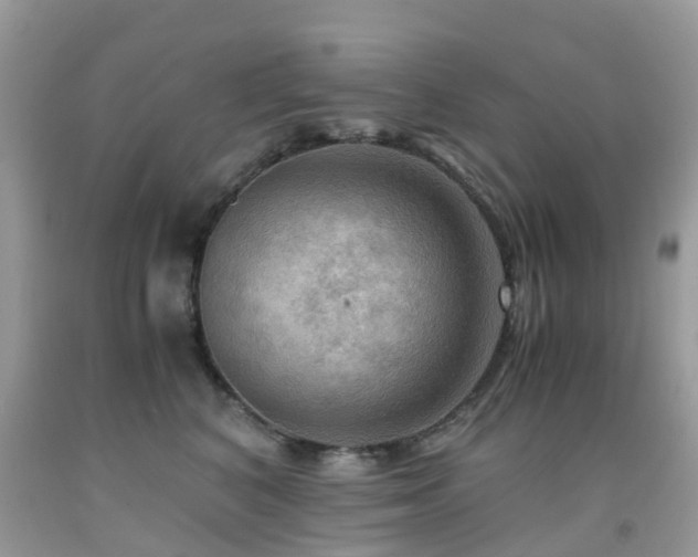 X0000092000616200709061440