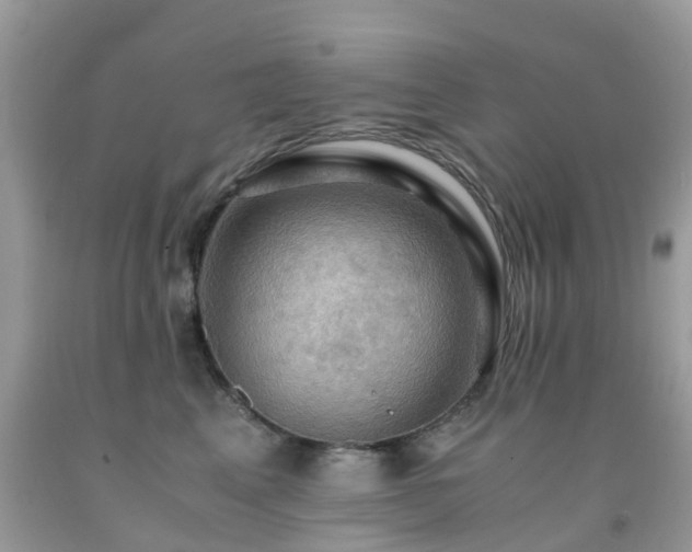 X0000092000617200709061440