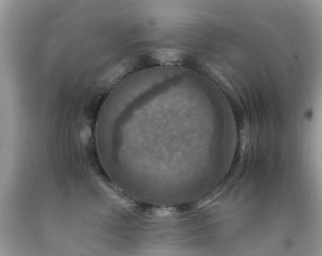 X0000092000618200709061440