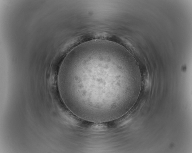 X0000092000619200709061440