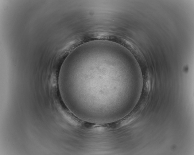 X0000092000620200709061440